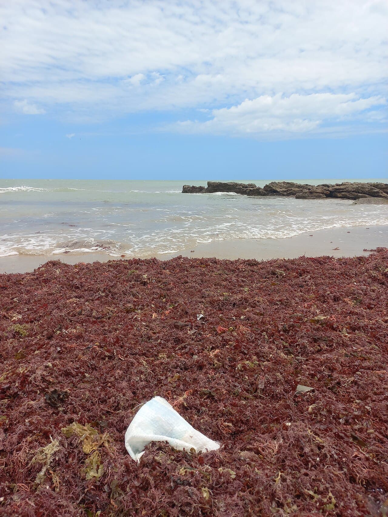 Paisagem de Galinhos