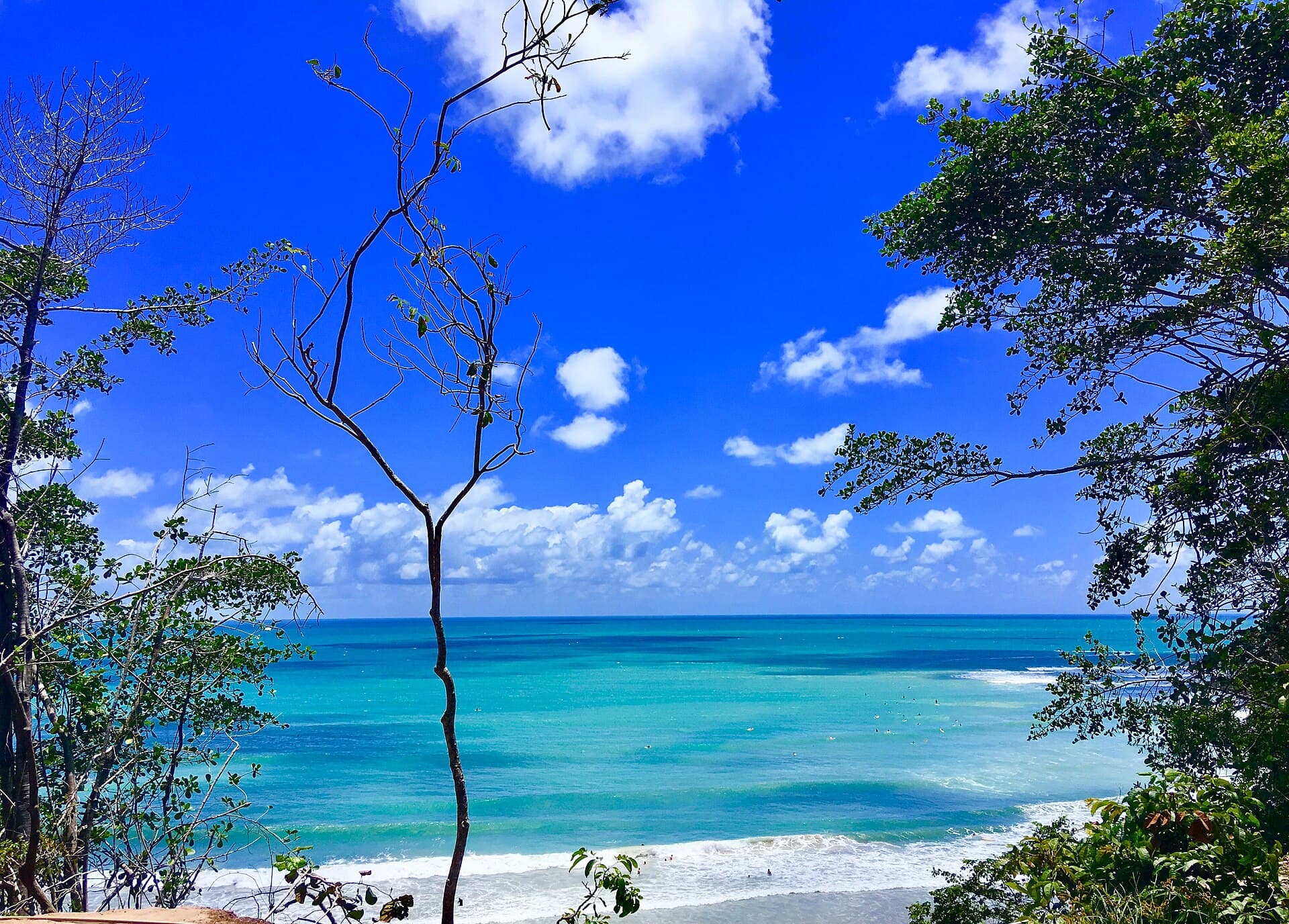 Paisagem de Pipa
